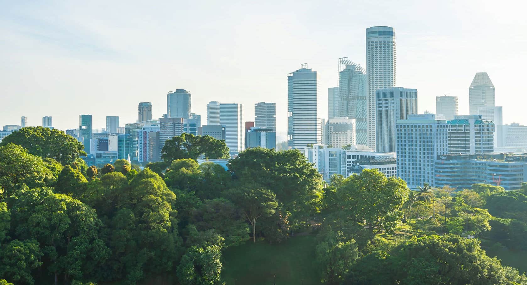Outline of the Singapore city with trees and greenery in the background